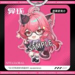 NTE Acrylic Keychain | nte.global