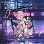 NTE Acrylic Transparent Card Keychain