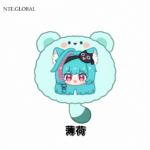 Nte Mint Plush Pillow
