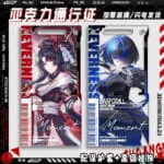 Neverness to Everness Mint, Nanally, Chiz Acrylic Pass Card Keychain Anime Game Collectible