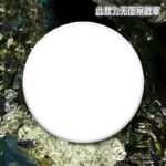 NTE Nanally Mint Lacrimosa Jiuyuan Ticket Badge Set |  | nte.global