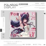 NTE Shinku Clear Acrylic Photo Card and Keychain Collection | nte.global NTE グッズ 이환 굿즈 | Shinku, NTE 真紅